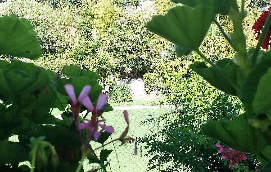 Casa Per Ferie Cardinal G. Guarino Bed & Breakfast Rome